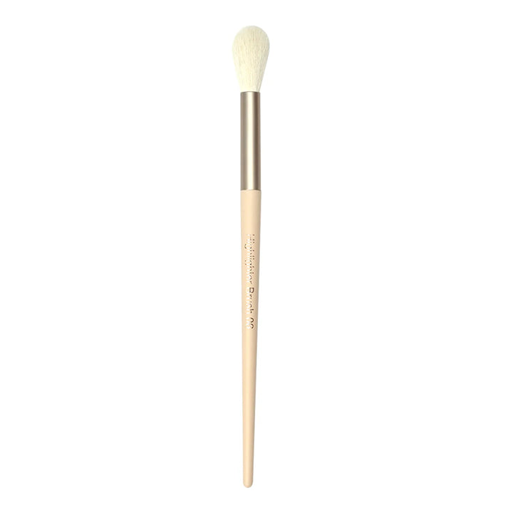 Highlighter Brush 06