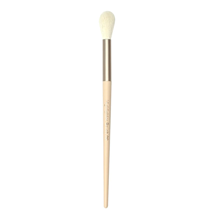 Highlighter Brush