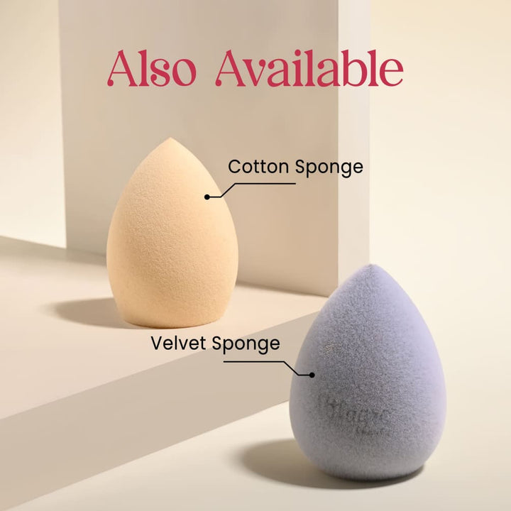 Best Beauty Blender